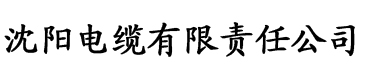 亚洲av成人精品久久一区二区三区电缆厂logo